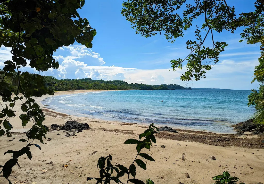 Piaszczysta plaża nad spokojną zatoką, otoczona tropikalnym lasem i gałęziami drzew