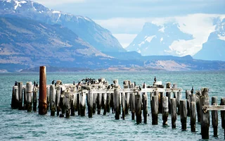 Puerto Natales jako baza podróży po Patagonii Pozostałości drewnianego pomostu z ptakami w Puerto Natales, na tle wody i gór
